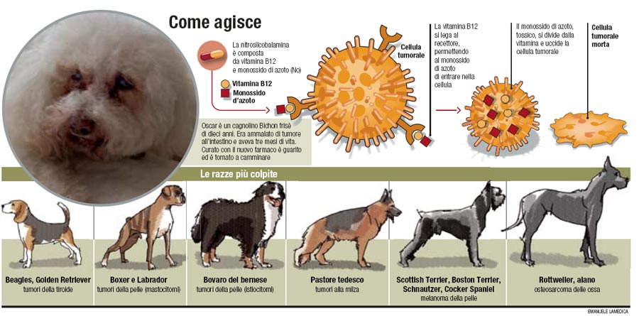 cani2