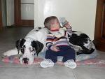 cane-e-padrone