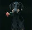 images[4]