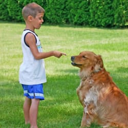obedience