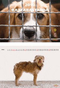 calendario
