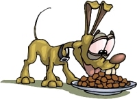 cane_che_mangia