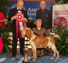 2009winner_AXEL