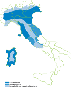 zone filaria zone filaria
